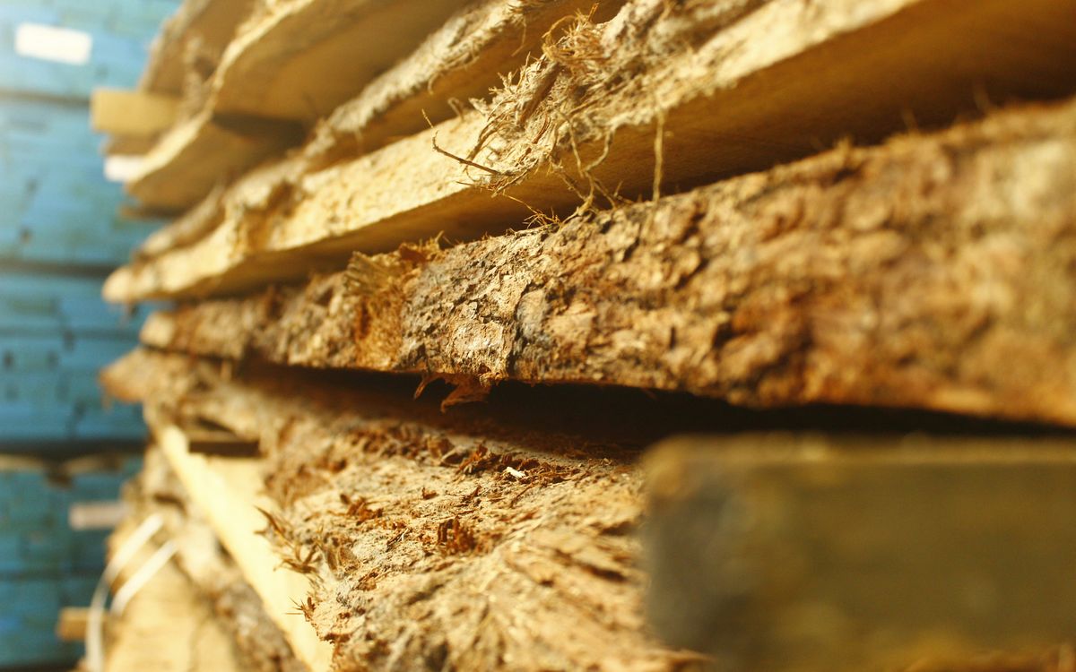 Live-Edge Slabs